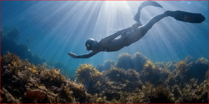 Freediving Instructor Course Bali