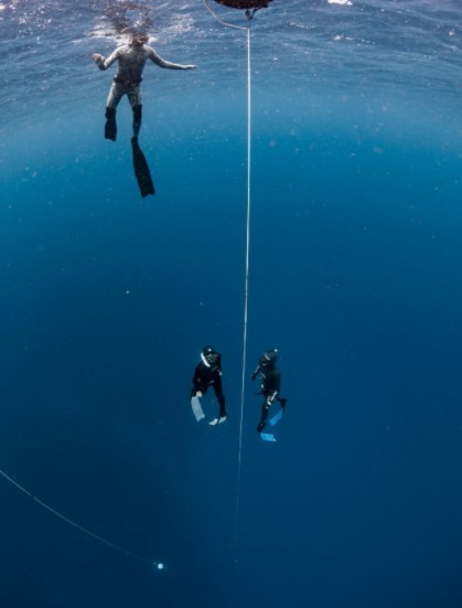 Freedive Instructor Courses