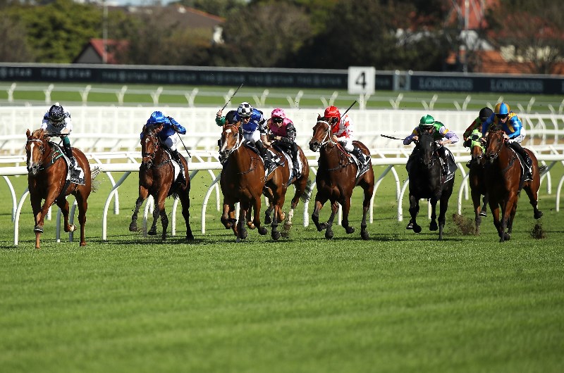 Sydney horse racing tips