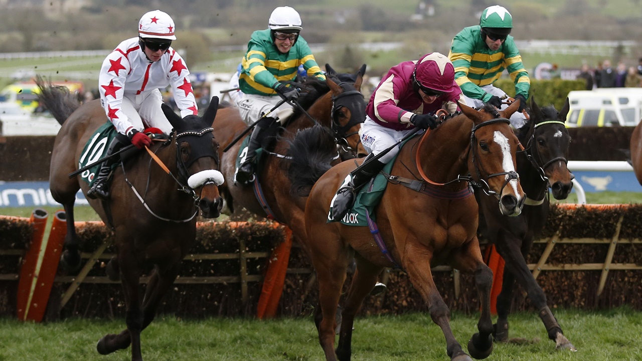 cheltenham horse racing betting