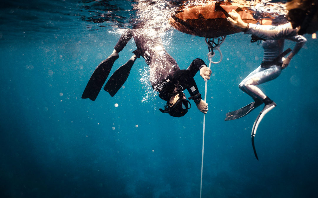 Freedive Instructor Courses
