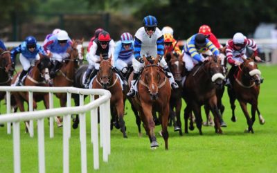 Professional Horse Racing Tips to Help You Win