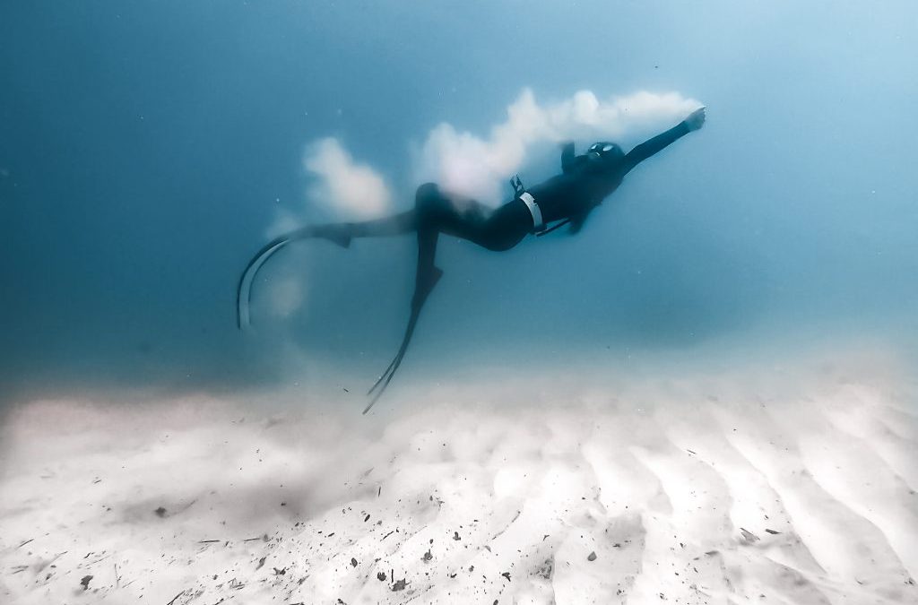 Freediving Tours Sydney