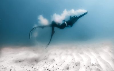 Things You Need To Consider For Freediving Tours Sydney