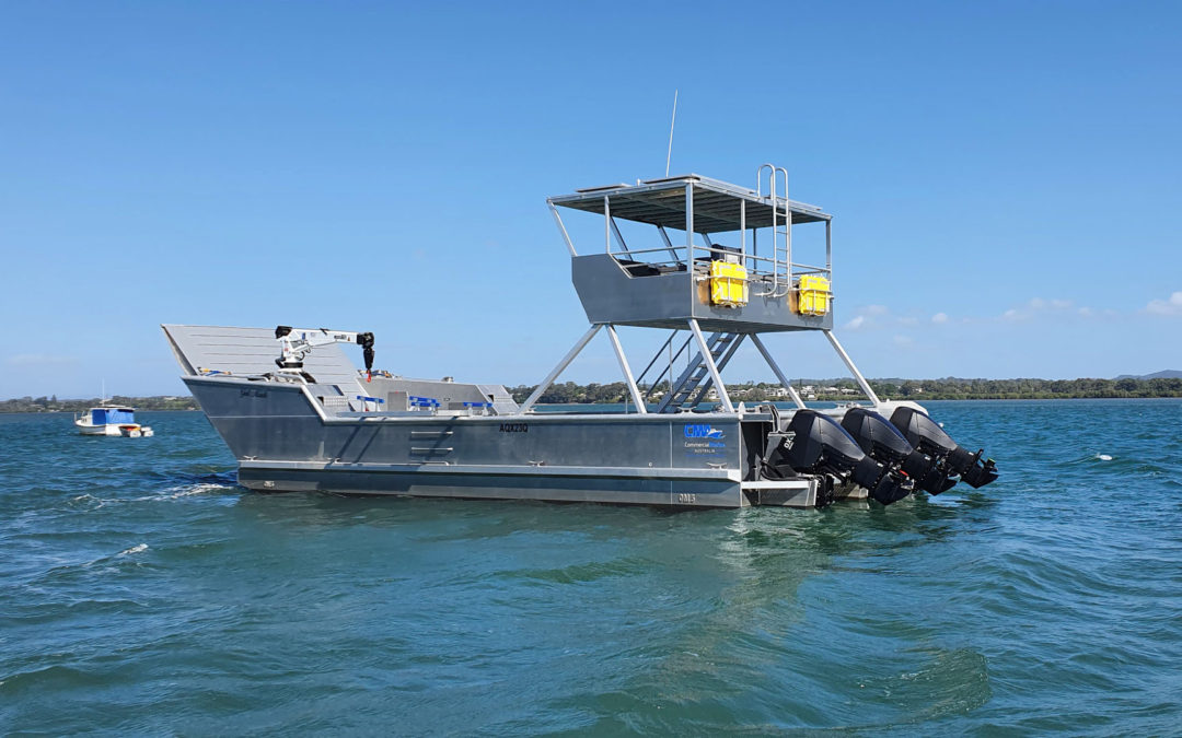 Work Punt & Other Boats For Commercial Purposes