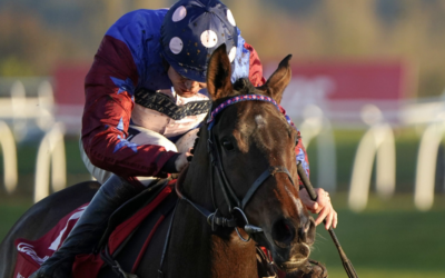 Horse Race Betting Tips to Help You Good Race