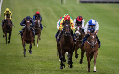 What Racing Tips Of Horse Owner Should Know About