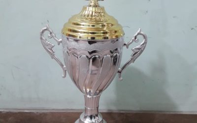 How To Find The Best Power Sports Trophies?