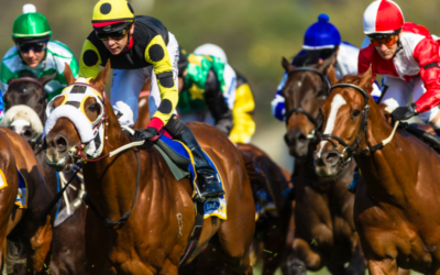 Qualities To Look Out For In A Racehorse – Professional Horse Racing Tips