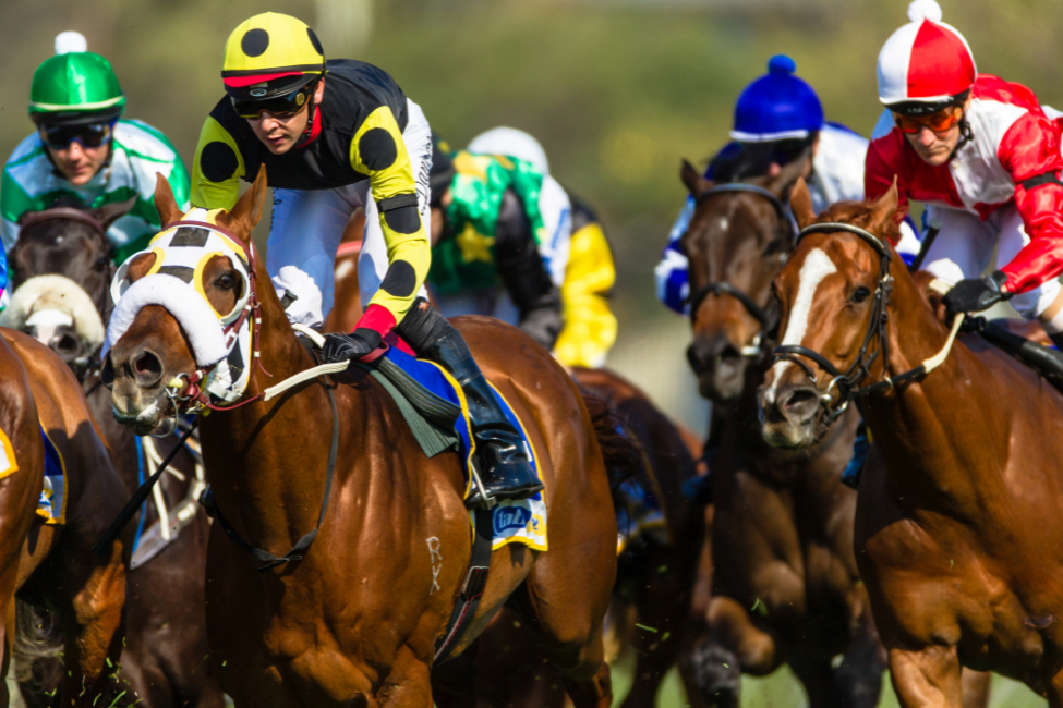 professional horse racing tips