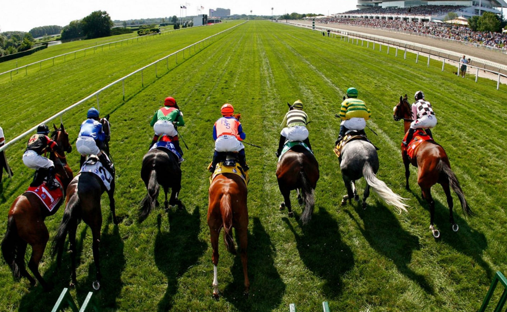Professional horse racing tips