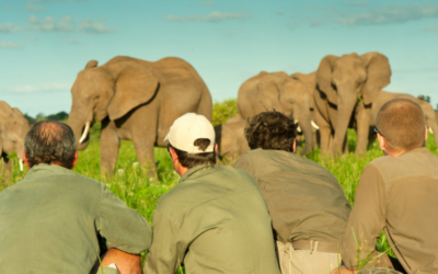 Subjects Included In Professional Field Guide Course
