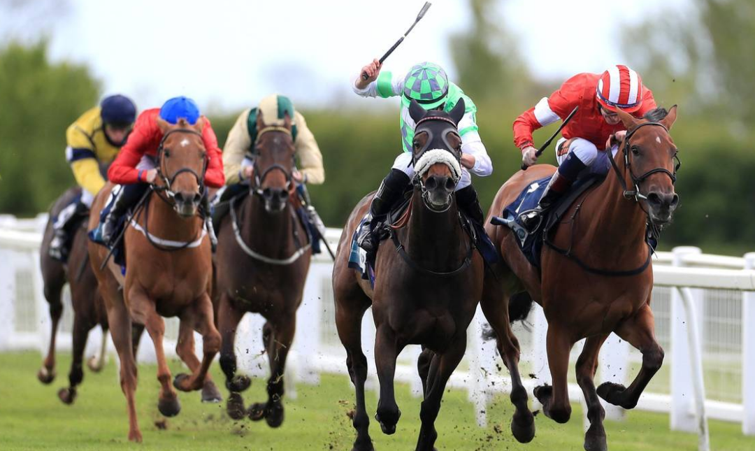 10 Horse Racing Tips Today: How to Win at the Racetrack