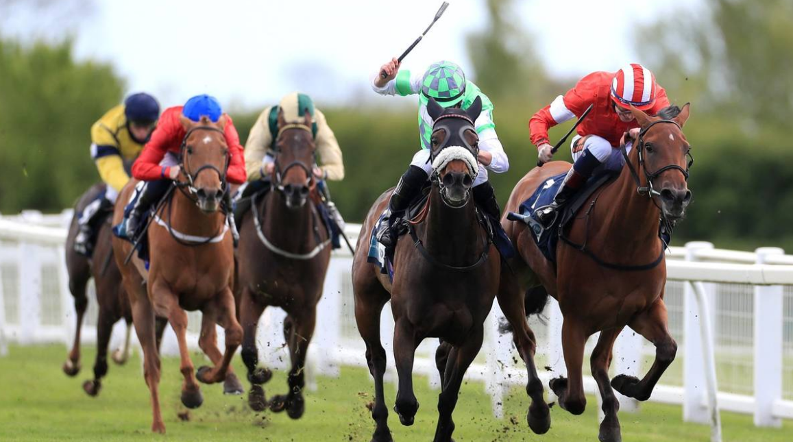 horse-racing-tips-today-best-horse-racing-tips-for-today-2022