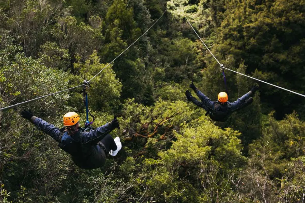 Escape from the City Buzz, Zipline Across South Island