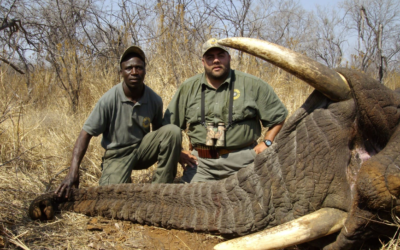 The Ultimate Guide to Big Game Hunting in Africa: Tips and Techniques