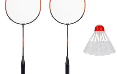 From Backyard Battles to Competitive Courts: Badminton Sets for Every Player