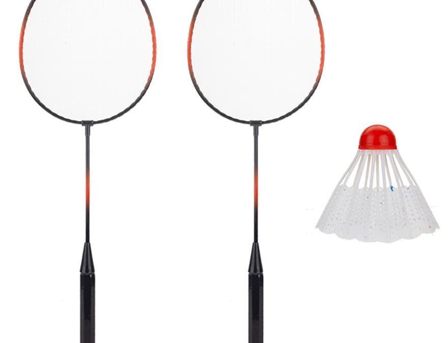 From Backyard Battles to Competitive Courts: Badminton Sets for Every Player