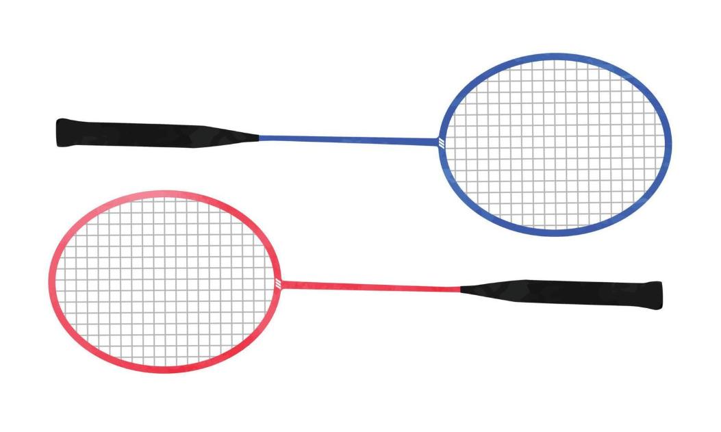 Are Expensive Badminton Sets Worth It?