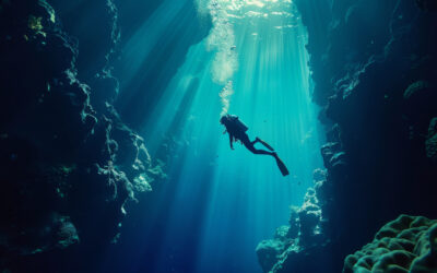 Exploring the Depths: A Guide to the Blue Submarine Experience in Mauritius