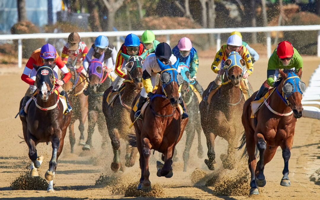 Find Reliable and Accurate Today’s Horse Racing Tips Online
